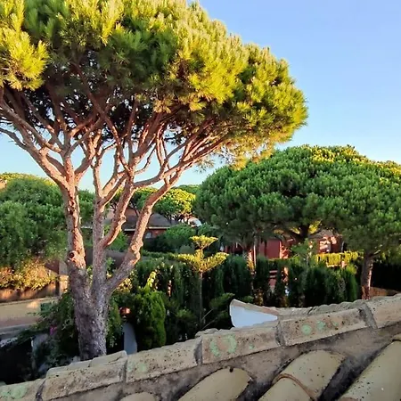 Mit Grossem Garten Und Pool , 300m Zum Holiday home Conil De La Frontera