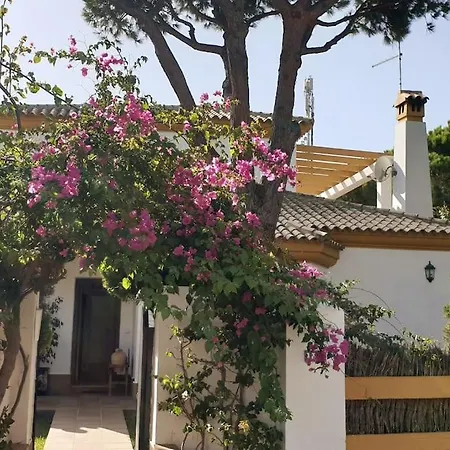 Mit Grossem Garten Und Pool , 300m Zum Holiday home
